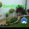 dorita124528