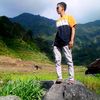 paimo295