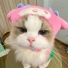 kyutiegerly