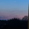 _charlotte_520