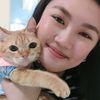 dainicats