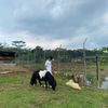 adlymuhammd_