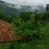 alf_ha9200d23