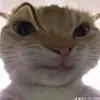 hinhinngu