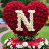 m.nadir225