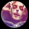 pm_fan.alik