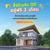 dd6395property