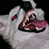 dywevvgtw6l9
