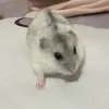 lifewithmeomeo