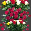 chnar.murad8