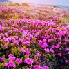 user443rhbxfb9