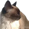 nathan.bezerra5