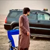 nbooalizai05