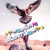 3han.hamou