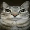 kahgabu64