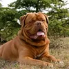 alex_777_777_