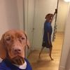 brahim_024