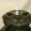 duketramtinh