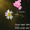 ciceknur111