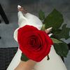 Sima_777