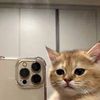 piooleeer_