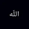 zaynab_3050