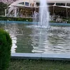 lindori237