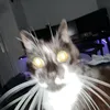 annaa_12240