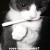 vinicharmoso_