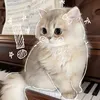 kkkttt0312