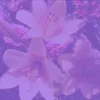 totallynot_thetwins