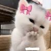 nur_solehah30