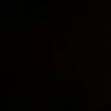 quy_461