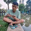 90jepitswallow