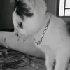 recolectaramable