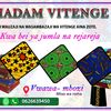 sarafinamhagama0