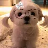 toruu_wife
