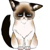 Badcat