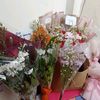 mila_riyal