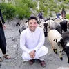 fazalhayanshinwari0