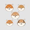 adventuresinshiba