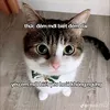 huslang_robber