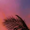 lily_lily1212