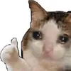 cheshiyacat