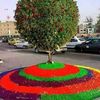 adelkhan685