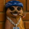 therealhorpeyemi