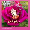 vdrfsw