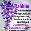 ebruli801