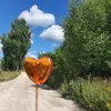 svetlaiasvetlaia0