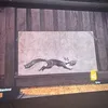 crmaissports